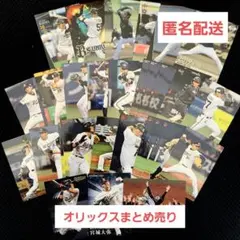 2026年最新】プロ野球チップスカードまとめ売りの人気アイテム - メルカリ