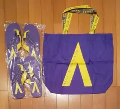 嵐★AAA2008★コンサートグッズセット★国立