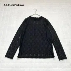 【A.G.PLUS Park Ave エージープラス】ブラウス　長袖　レース　花のサムネイル