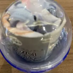 サンエックスユニバース カラフルバラエティーコレクション ころころコロニャ