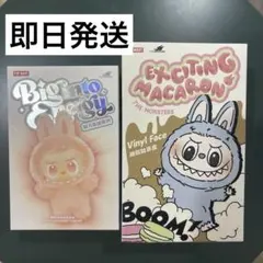 2025年最新】POPMart labubu マカロン ぬいぐるみ 新品未開封の
