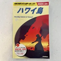 Item thumbnail for item 14581814-d45f-45bb-af1a-12165fa0add6