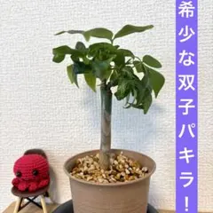 ちみちみ様 リクエスト 2点 まとめ商品