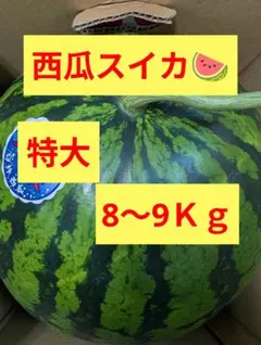 西瓜　特大　美味しい　1玉 ８〜9Ｋｇのサムネイル