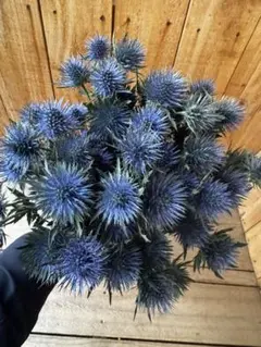 lemon様 リクエスト 3点 まとめ商品