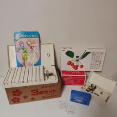 昭和レトロ 昆虫採集セット 昆虫標本作成セット 虫かご (中) - メルカリ