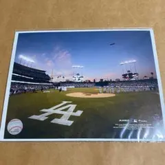 ロサンゼルスドジャース【公式フォト】ドジャースタジアム　大谷翔平のサムネイル