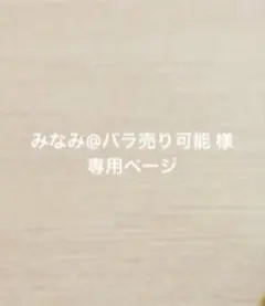 みなみ@バラ売り可能 様 専用ページ