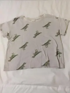 Item thumbnail for item a2d43b9e-2e6a-481e-96b3-7e018fe9481b