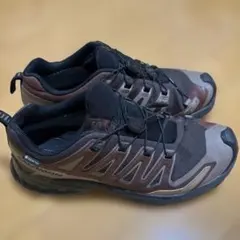 じんのすけ様専用salomon XA PRO 3D V9 GTX 26cm