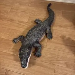 リアル　ワニ　フィギュア