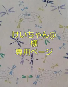 けいちゃん@様専用ページ