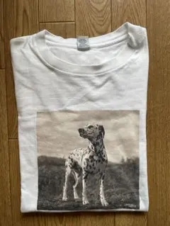 希少90s OLD GAP ダルメシアン フォトT ブルースウェーバー USA製のサムネイル