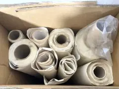 Item thumbnail for item 2c36861c-575b-4416-adcc-2acc03bacc9b