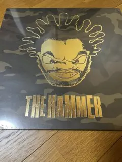 Jeru the Damaja / Wrath of the Math 2LP - メルカリ