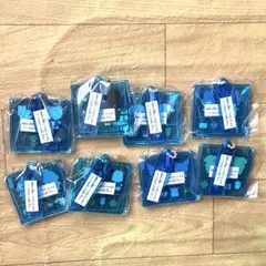 【複数在庫有り】サンリオキャラクターズ　プラスチックモデル！アクリルキーチェーン