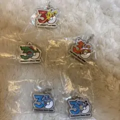 ポケモン 30周年　メタルチャームマスコット 5種セット　ガチャ