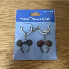 東京ディズニーリゾート ミッキー・ミニー キーホルダー 2個セット