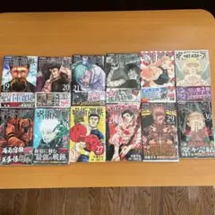 呪術廻戦 全巻セット 19-30巻