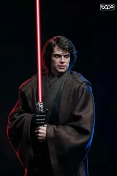 2025年最新】ホットトイズ アナキンの人気アイテム - メルカリ