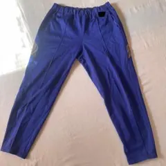 ジャージ　ズボンのみ　ブルー　スポーツウェア