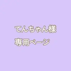 てんちゃん様専用