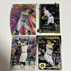 Item thumbnail for item ffa386be-4325-4257-b43d-d3d67cbcd8e9