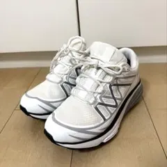 Item thumbnail for item 5d18a484-ce5f-4abc-a6b8-7aae08066532