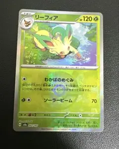 2026年最新】リーフィ モンスターボールの人気アイテム - メルカリ
