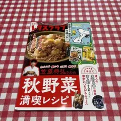 レタスクラブ　１０・１１月合併号 秋野菜レシピ・平日献立・SNOOPY家計簿