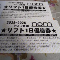 2025〜2026 ノルン水上スキー場　リフト1日優待券2枚セット 2026年最新】水上 リフト券の人気アイテム - メルカリ