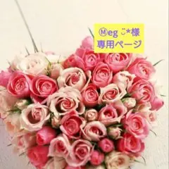 ✮Ⓜ︎eg ◡̈*様専用ページ✮