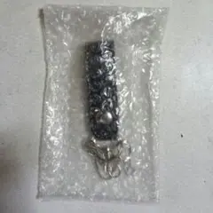 Item thumbnail for item 4b57d6a3-bf47-42ac-8f97-acb140600ac1