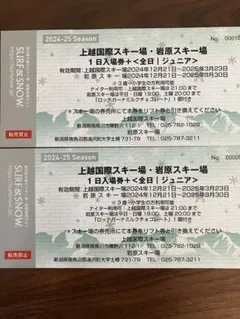 2025年最新】岩原スキー場の人気アイテム - メルカリ