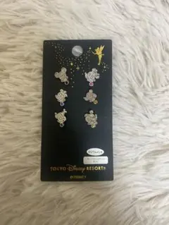 東京ディズニーリゾート　25周年記念ピアス　6点セット　レア