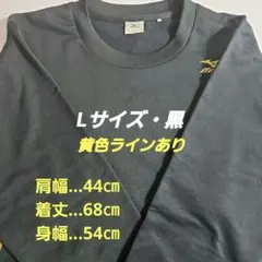 mizuno　ミズノ　アンダーシャツ/黒/Lサイズ