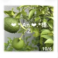 ❤︎.* An ❤︎.*様　10月②おまとめページ