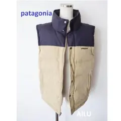 2025年最新】patagonia カラー：ベージュ系 ダウンベスト