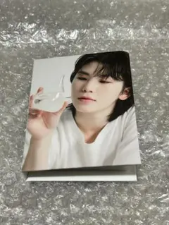 seventeen 17 is right here carat盤　ウジ