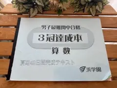 2026年最新】3冠達成 浜学園の人気アイテム - メルカリ