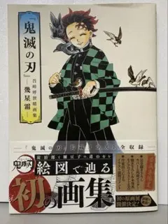 『鬼滅の刃』吾峠呼世晴画集―幾星霜―