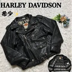 【希少】ハーレーダビッドソン　ダブルライダースジャケット 総柄 ビッグロゴ L