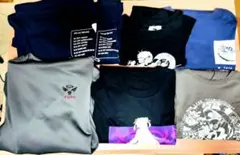 Item thumbnail for item c5932a44-f9cf-4938-bc00-044ea4fd468d