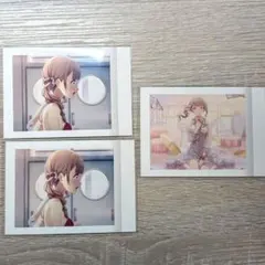 ぱしゃこれ　望月穂波