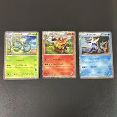 希少】ポケモンカード スタートデッキ 御三家ホロカード3枚セット BW