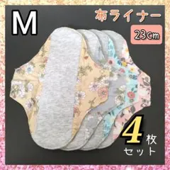 Item thumbnail for item f5c32c81-b007-4b57-b1ea-46e626c63707