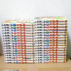 金色のガッシュ!!]1-33巻 全巻セット [どうぶつの国]1-6巻 雷句誠