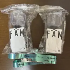 timelesz 公式ペンライト tour FAM タイムレス　2本