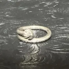 1★釘/ネイルリング　クロス　シルバー　約10号　銀　指輪