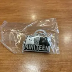 ミニティーンぷっくりめじるしアクセサリー　ジュン